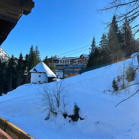 Apartment Haus Alpina *